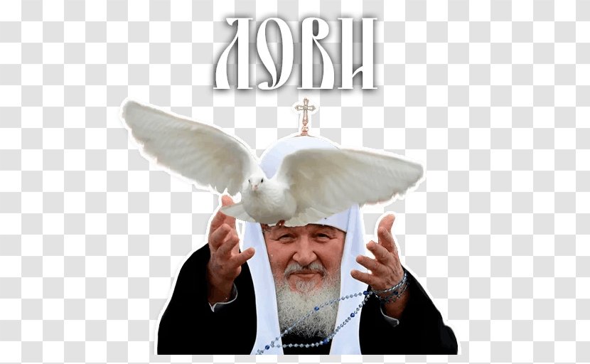 Patriarch Kirill Of Moscow Sticker Telegram VKontakte - Divorce - A Priest Transparent PNG