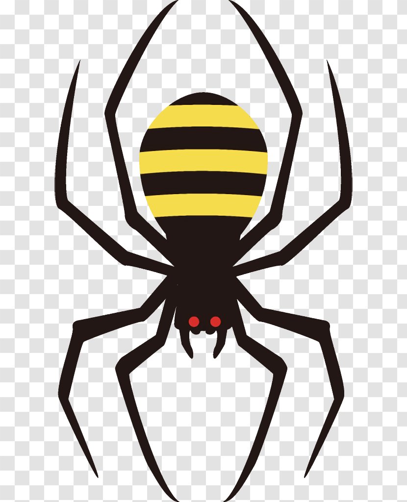 Spider Halloween - Black - Arachnid Insect Transparent PNG