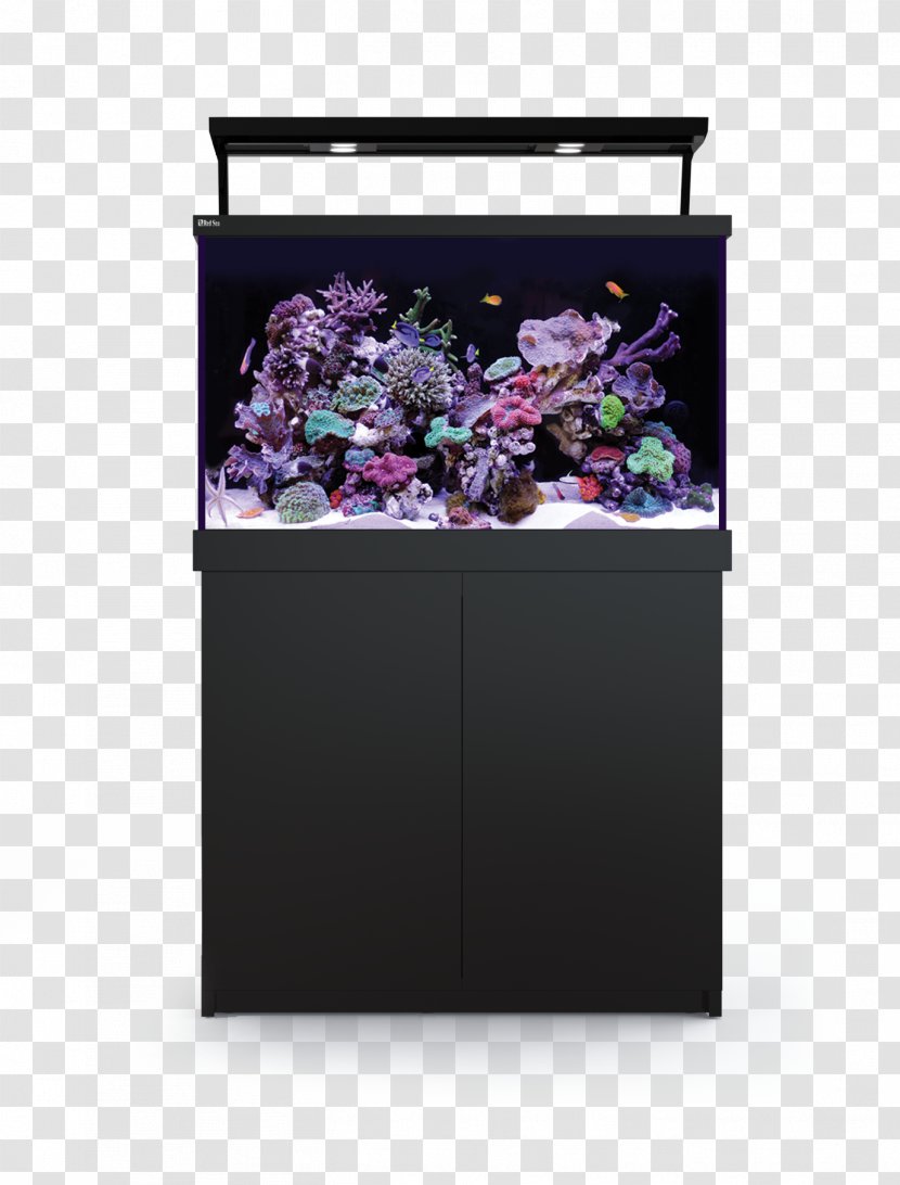 Red Sea Reef Aquarium Aquariums Coral - Lightemitting Diode Transparent PNG
