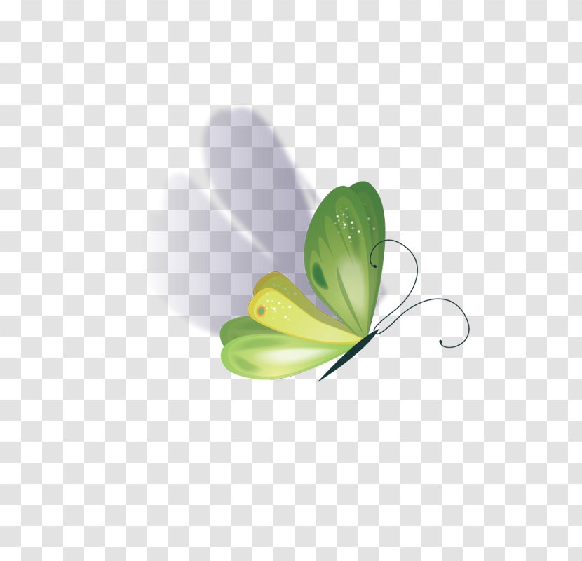 Butterfly Drawing Software - Green Transparent PNG