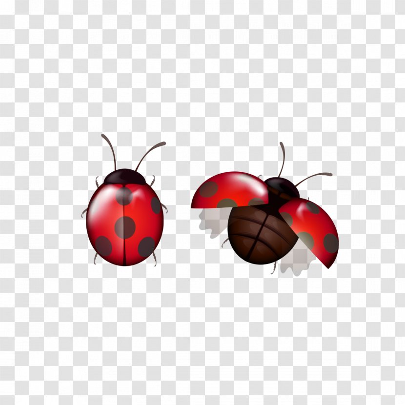Insect Christmas Ornament Membrane Wallpaper - Invertebrate - Creative Cartoon Ladybug Transparent PNG