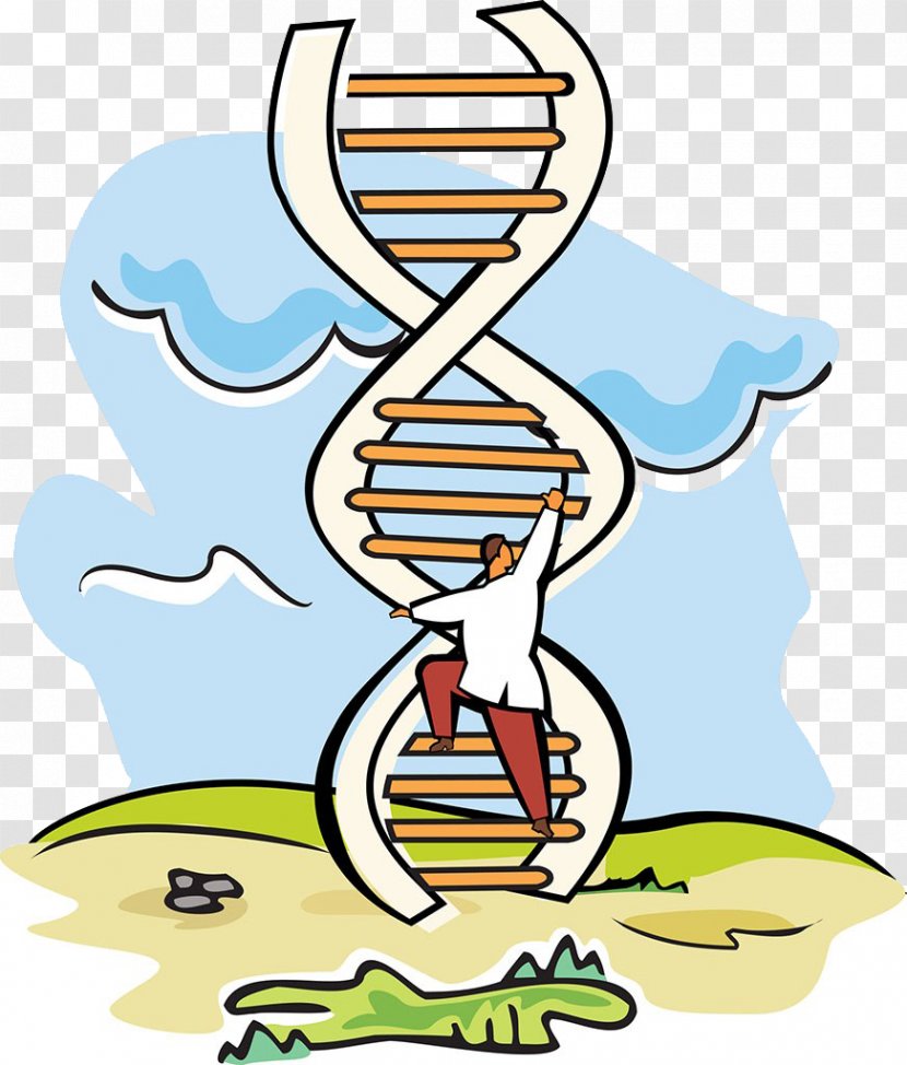 A-DNA Scientist Stock Photography Molecular-weight Size Marker - Science - Scientific Experiments DNA Ladder Transparent PNG