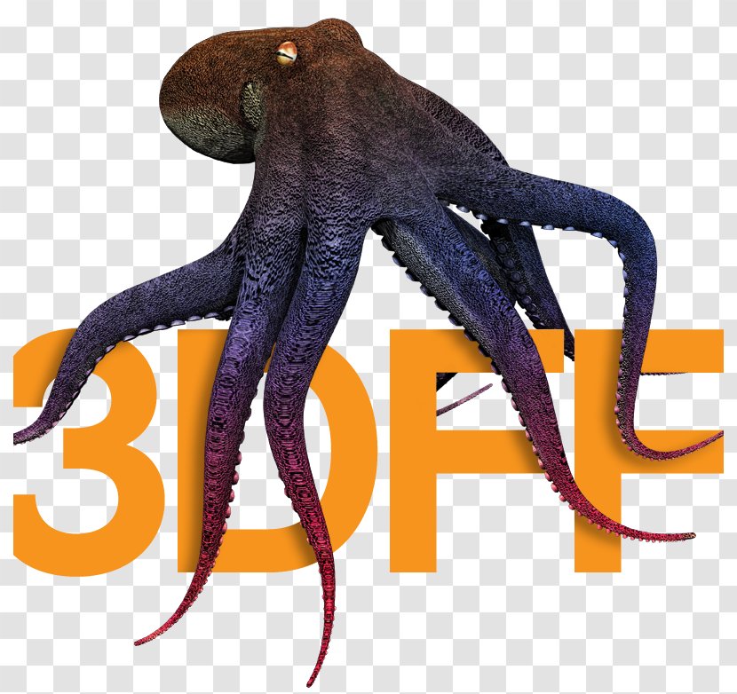 Octopus 3D Film Festival - Cephalopod - Indie Fest Transparent PNG