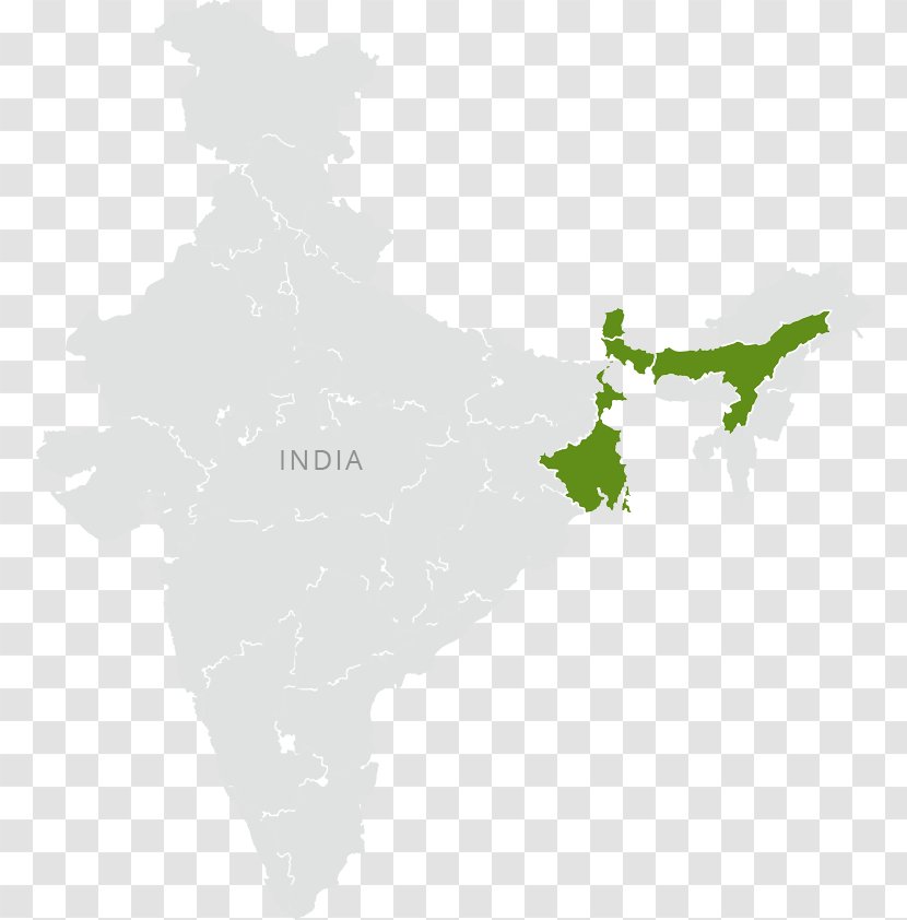 Map Indian People Tuberculosis - Tree Transparent PNG