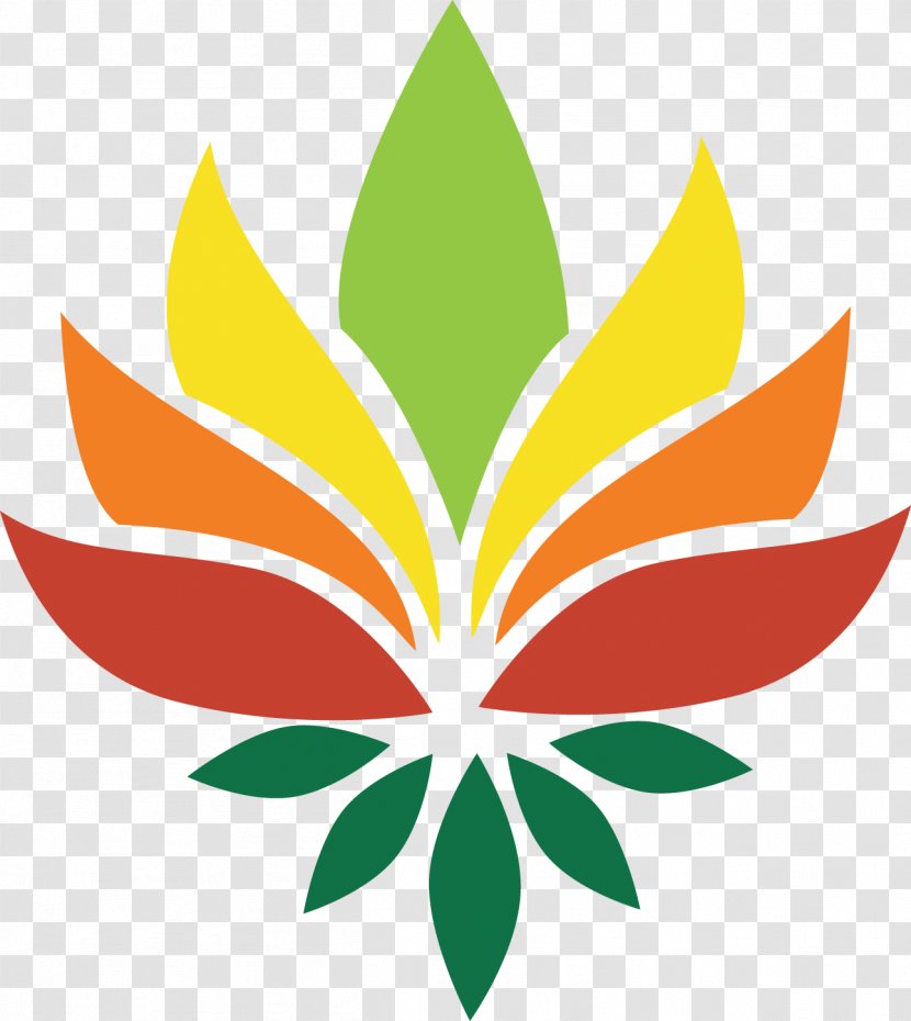 Nelumbo Nucifera National Symbols Of India Pattern - Artwork - Lotus Leaves Transparent PNG