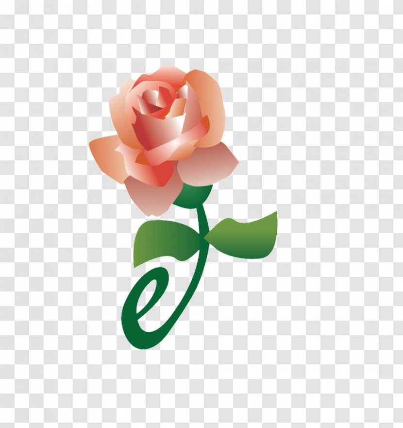 Garden Roses Product Service Petal - Rose - Copy And Paste Transparent PNG