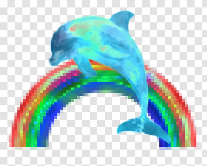 Dolphin Tumblr 0 - Beak Transparent PNG