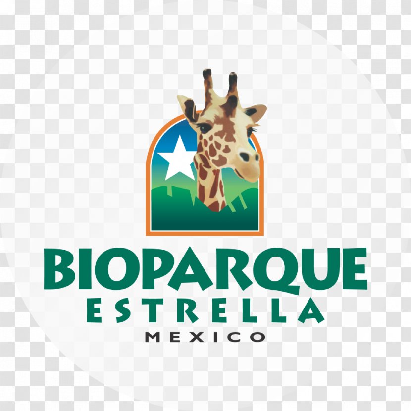 Giraffe Logo Bioparque Estrella Font Brand Transparent PNG