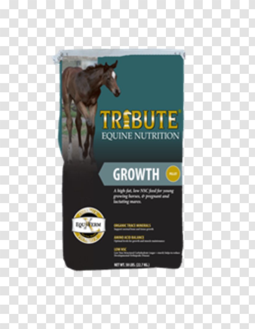 Draft Horse Equine Nutrition Nutrient Veterinarian - Grain Store Transparent PNG