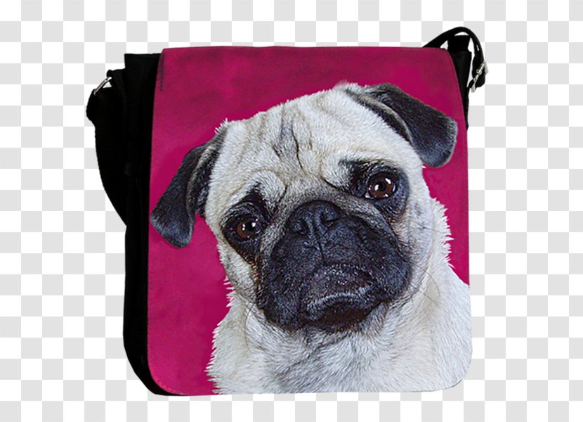 Pug Puppy Dog Breed Toy Snout - Laptop Transparent PNG