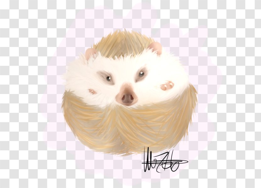 Snout Hedgehog Fur Eyelash - Face - Watercolor Transparent PNG