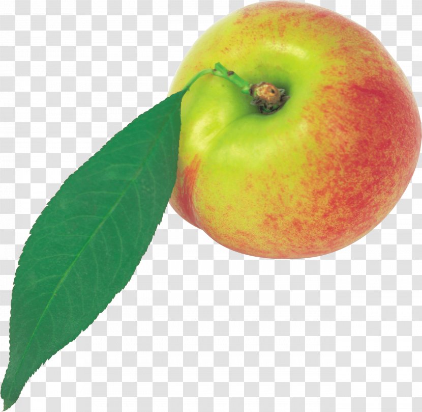 Nectarine Fruit Icon - Local Food - Peach Image Transparent PNG
