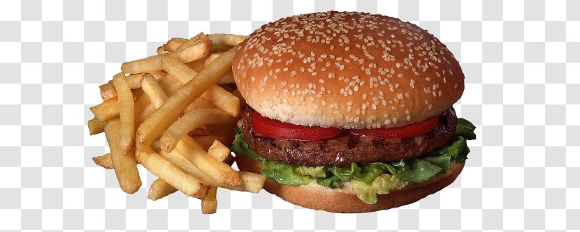 Hamburger Fast Food French Fries Chicken Sandwich Kebab - Dish - Barbecue Transparent PNG