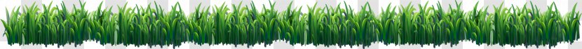 Green Grasses Hair Coloring - Fresh Spring Grass Transparent PNG