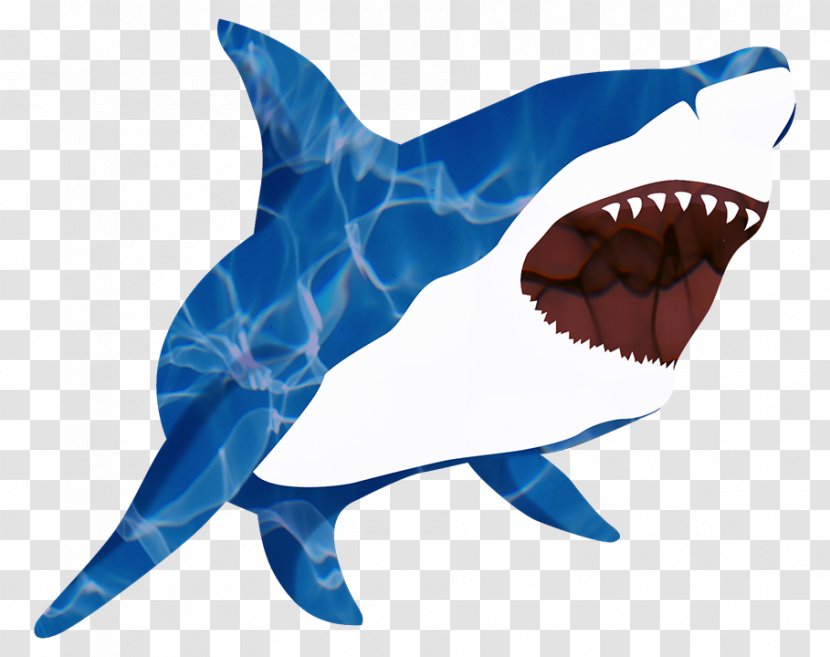 Great White Shark Isurus Oxyrinchus Tooth Requiem - Organism - BABY SHARK Transparent PNG