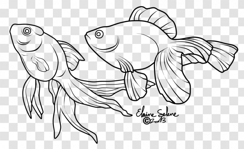 Line Art Veiltail Drawing Koi Fish Transparent PNG