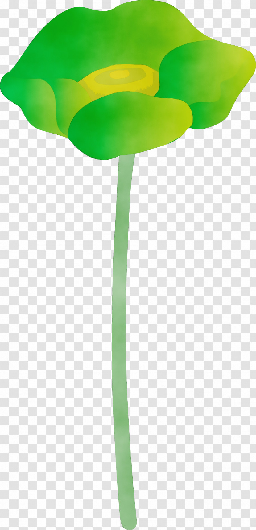 Green Leaf Tulip Plant Stem Plant Transparent PNG