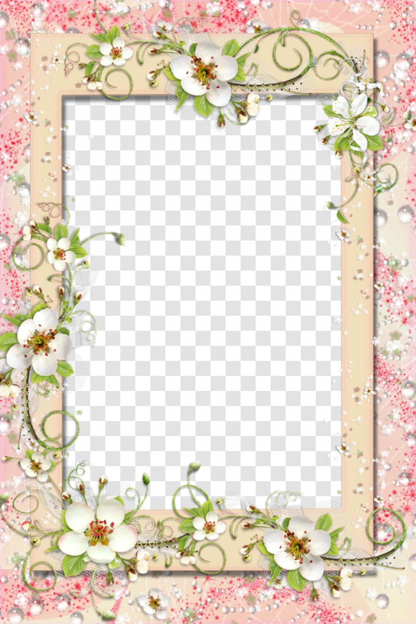 Picture Frames Flower Clip Art - Stock Photography - Floral Border Transparent PNG