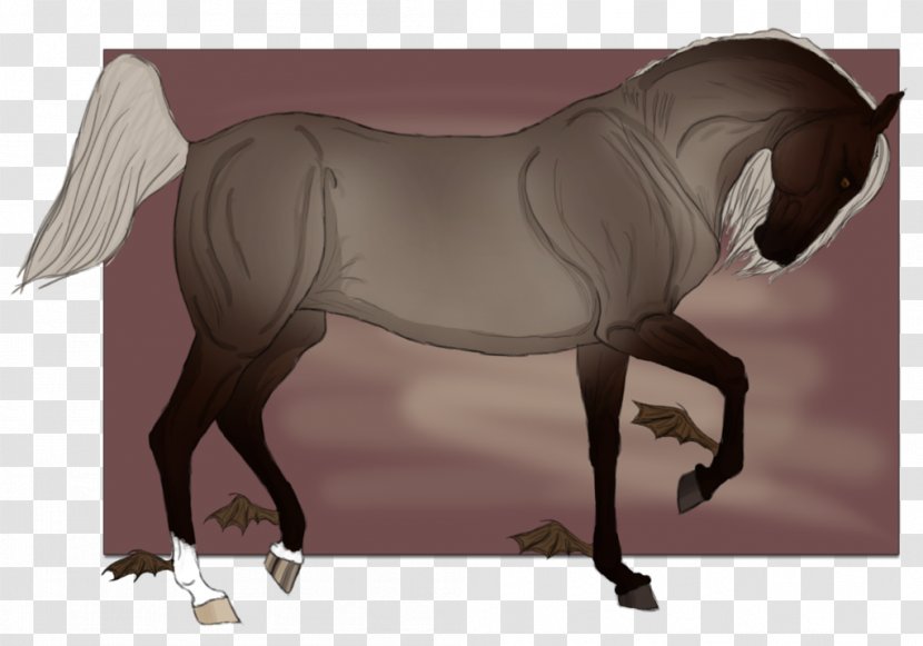 Mane Pony Mustang Rein Stallion - Saddle Transparent PNG