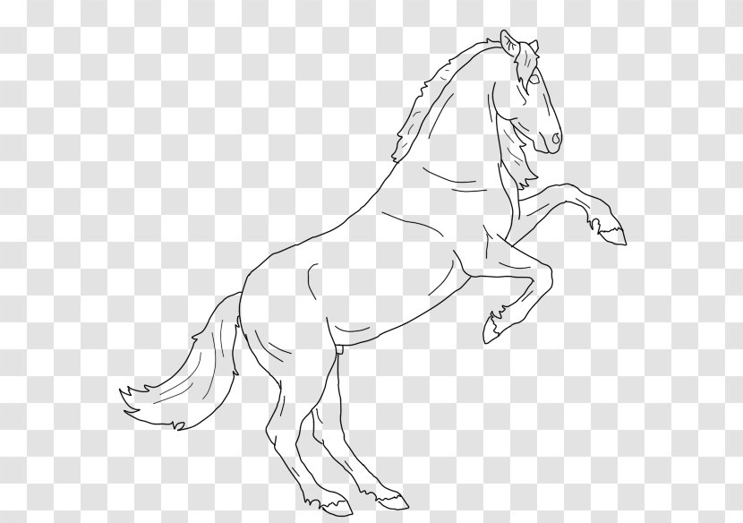 Mustang Mane Stallion Pony Colt - Monochrome Transparent PNG