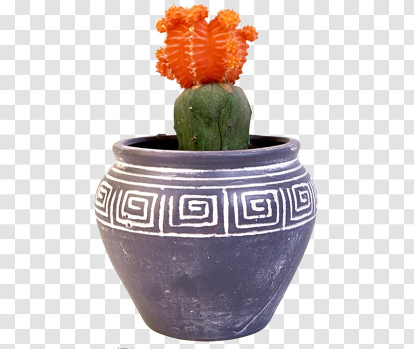 Cactus Flowerpot Houseplant Bonsai Vase - Ceramic Transparent PNG
