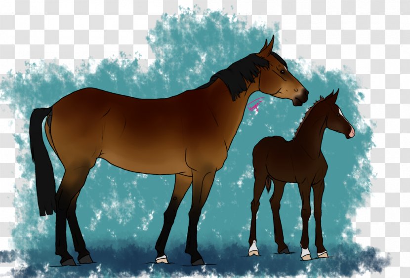 Mustang Mare Foal Stallion Rein Transparent PNG