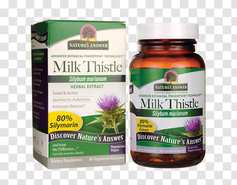 Herb Dietary Supplement Extract Capsule Milk Thistle Transparent PNG