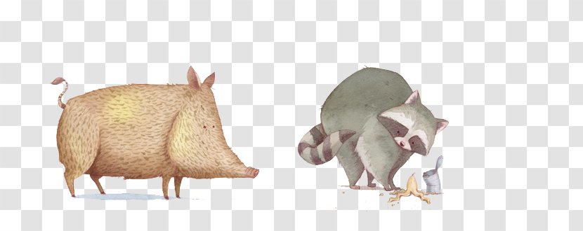 Wild Boar Cartoon Illustration - Animation - Poor Raccoon Hand-painted Transparent PNG