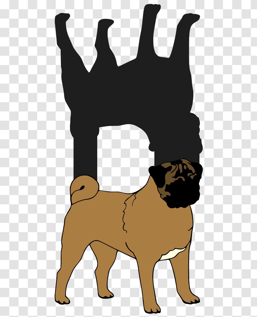 Dog Breed Puppy Canidae Pet - Like Mammal - Pug Transparent PNG