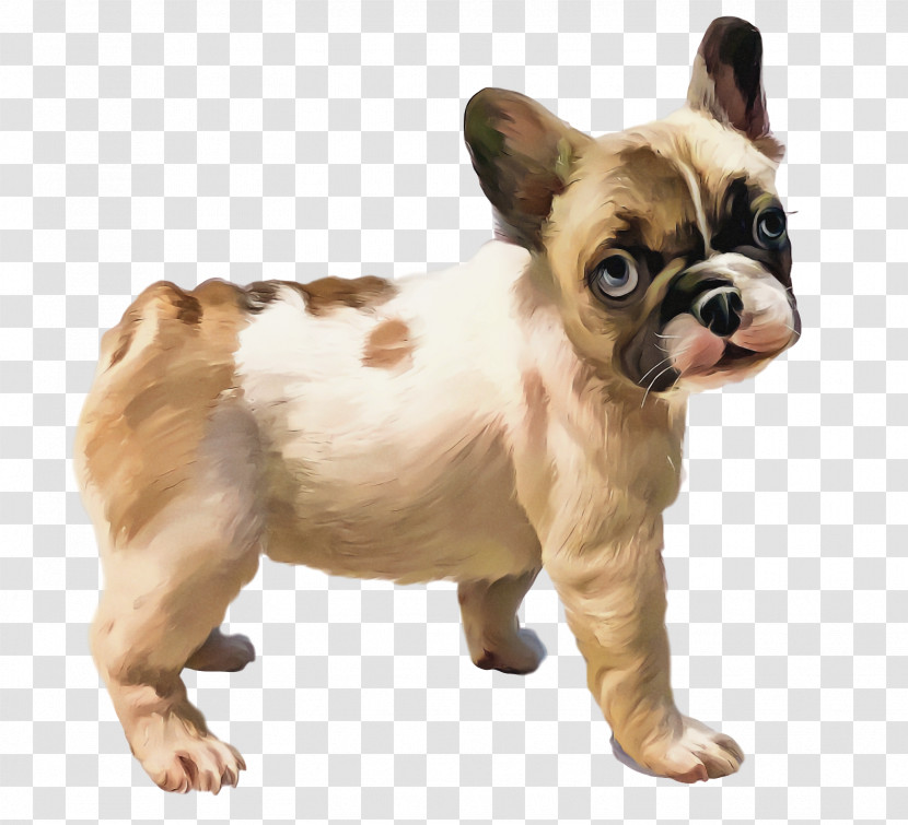 French Bulldog Transparent PNG