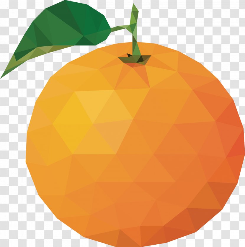Orange Juice Citrus Xd7 Sinensis Bitter - Vector Design Transparent PNG