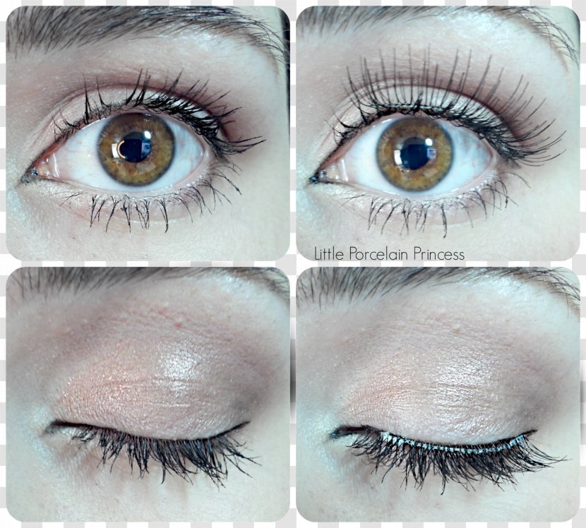 Eyelash Cosmetics Eye Shadow Liner Beauty - Lashes Transparent PNG