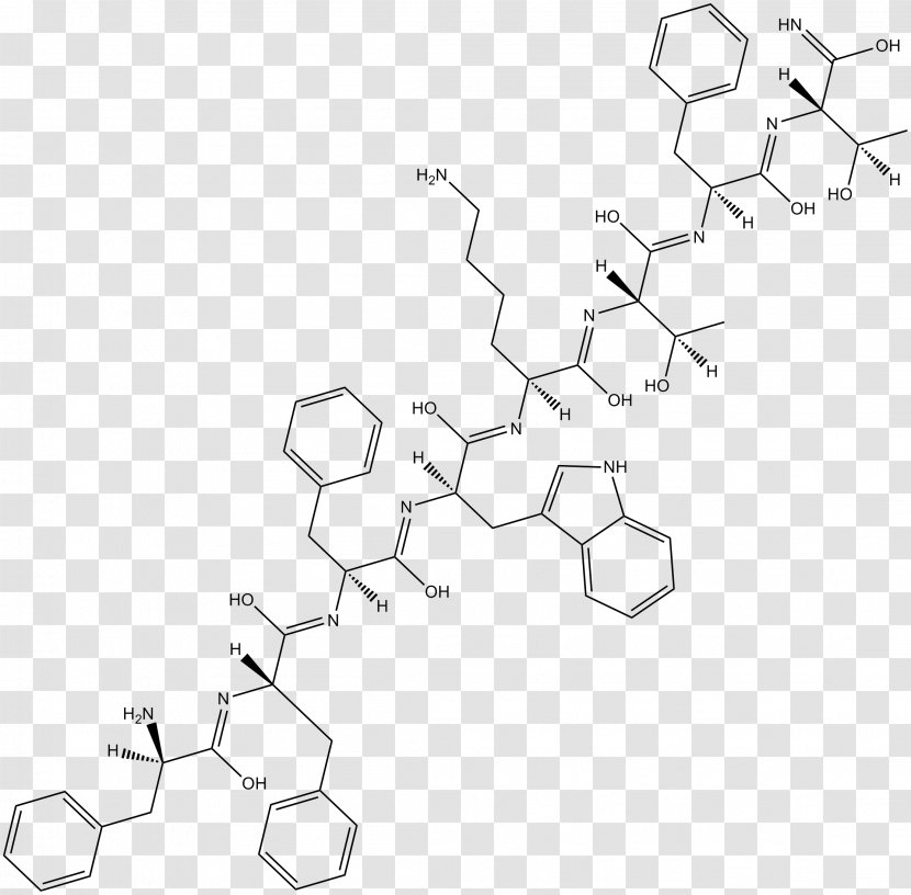 /m/02csf Product Design Drawing - White - Proteins Transparent PNG