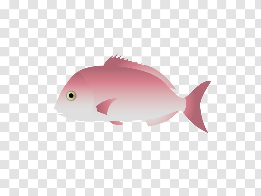 Fish Cartoon - Pomacentridae - Bonyfish Transparent PNG