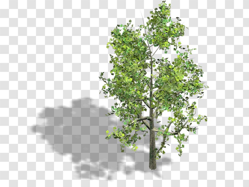Tree Wood Axonometric Projection Isometric Graphics In Video Games And Pixel Art - Persimmon Transparent PNG