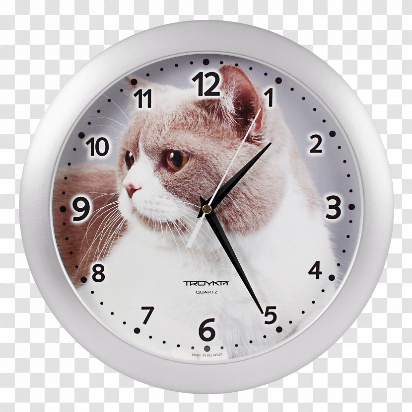 Internet Moscow Online Shopping Whiskers Clock - Kitchen Transparent PNG