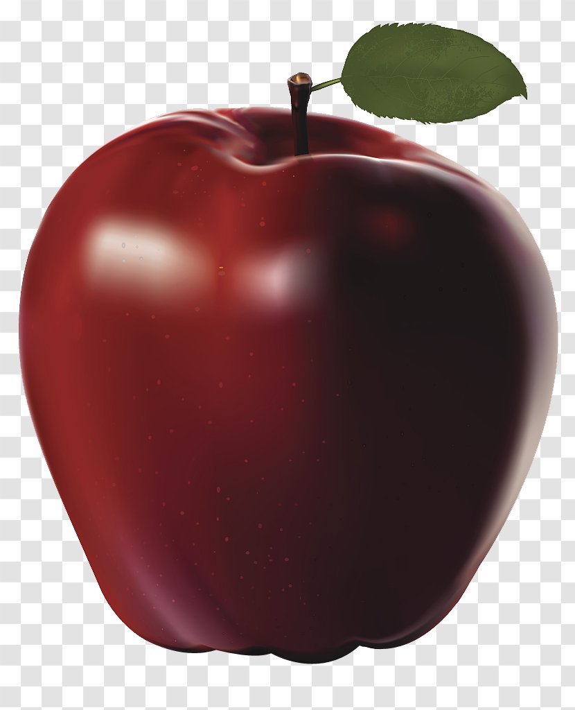 Apple Clip Art - Mcintosh - An Vector Transparent PNG