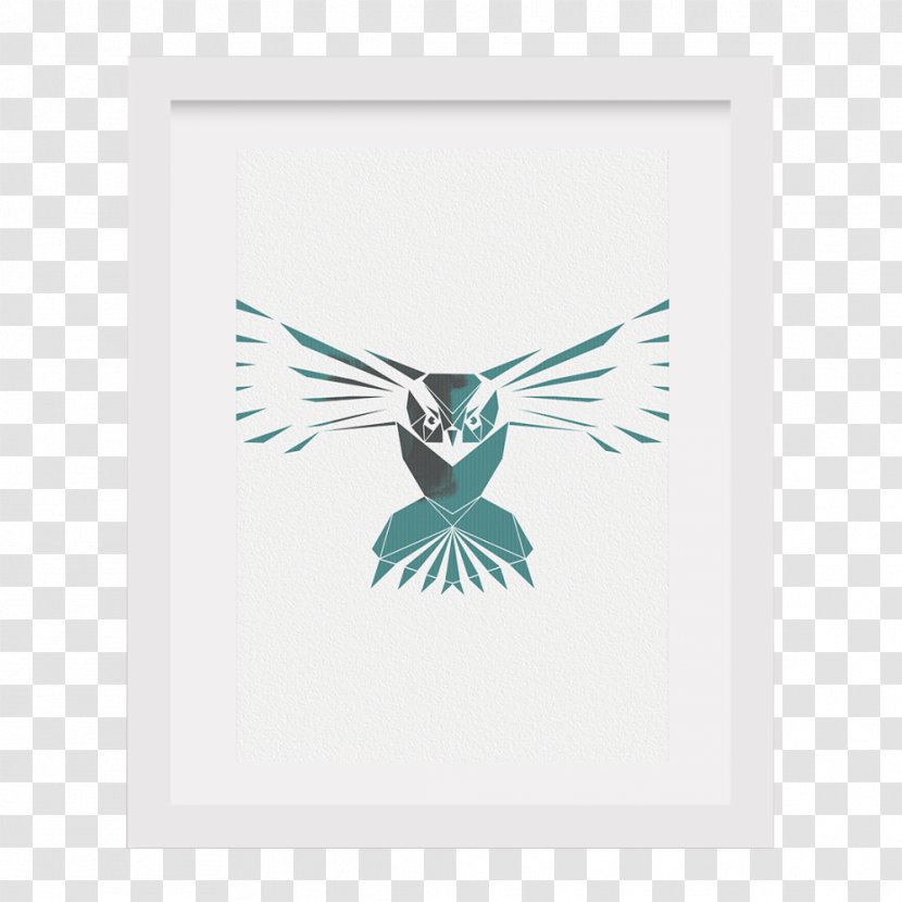 Wing Teal Feather Rectangle Beak - Bird - Inspired By The Green Skateboards Owl Transparent PNG