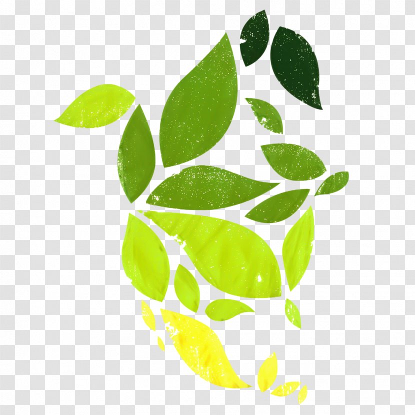 World Water Day - Sustainability - Plant Stem Branch Transparent PNG