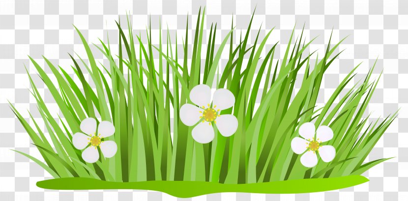 Free Content Clip Art - Grass - Flower Cliparts Transparent PNG