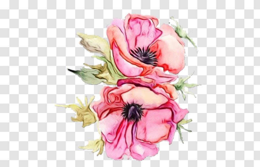 Flower Pink Petal Plant Watercolor Paint - Wet Ink - Anemone Cut Flowers Transparent PNG