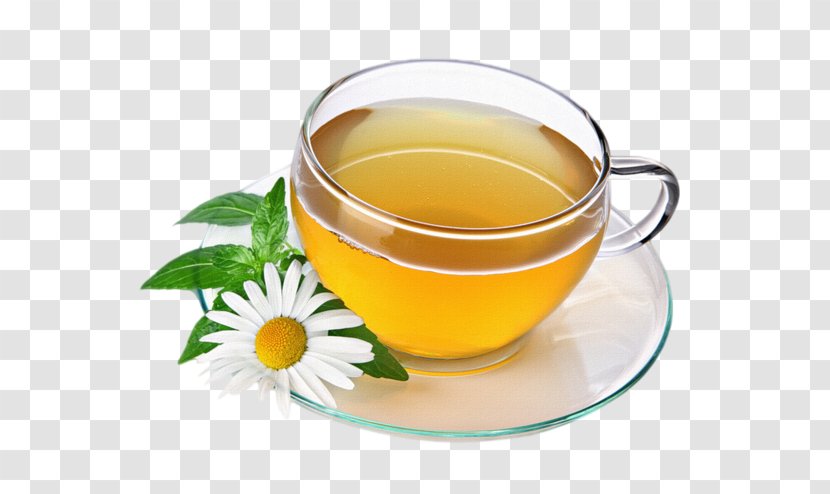 Green Tea Herbal Drink Chamomile Transparent PNG