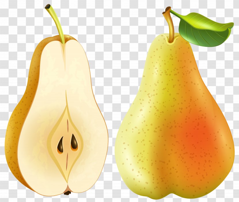 Fruit Amygdaloideae Asian Pear Clip Art - Rose Family - Crisp Transparent PNG