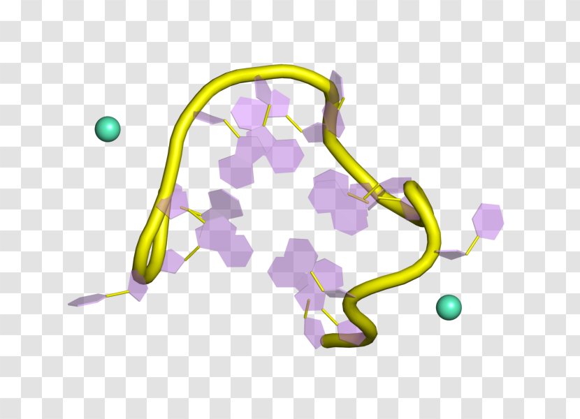 Protein Subunit Enzyme Molecule Active Site - Heart - Cartoon Transparent PNG