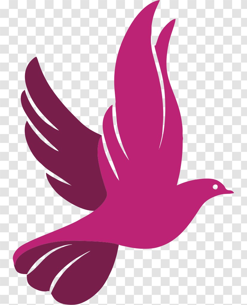Columbidae Logo Image Embark Recruitment - Pink - Ankh Transparent PNG