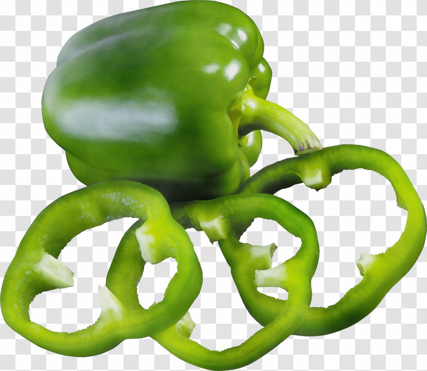 Bell Pepper Green Peppers And Chili Pimiento - Watercolor - Octopus Plant Transparent PNG
