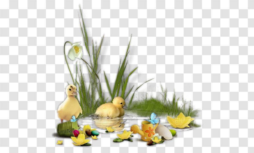 Easter Bunny Egg Clip Art - Grass Family - Pouring Transparent PNG