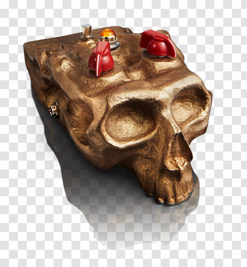 Skull - Jaw - Bone Transparent PNG