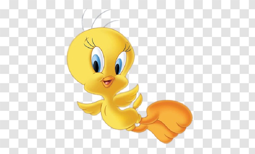 Tweety Clip Art - Membrane Winged Insect - Bird Transparent PNG