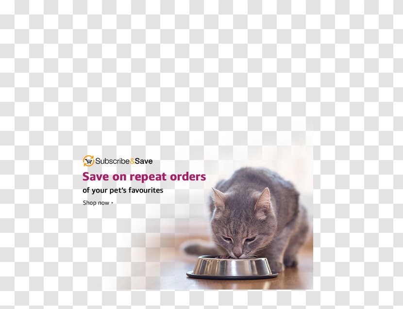 Cat Food Kitten Dog Purina One - Purr Transparent PNG